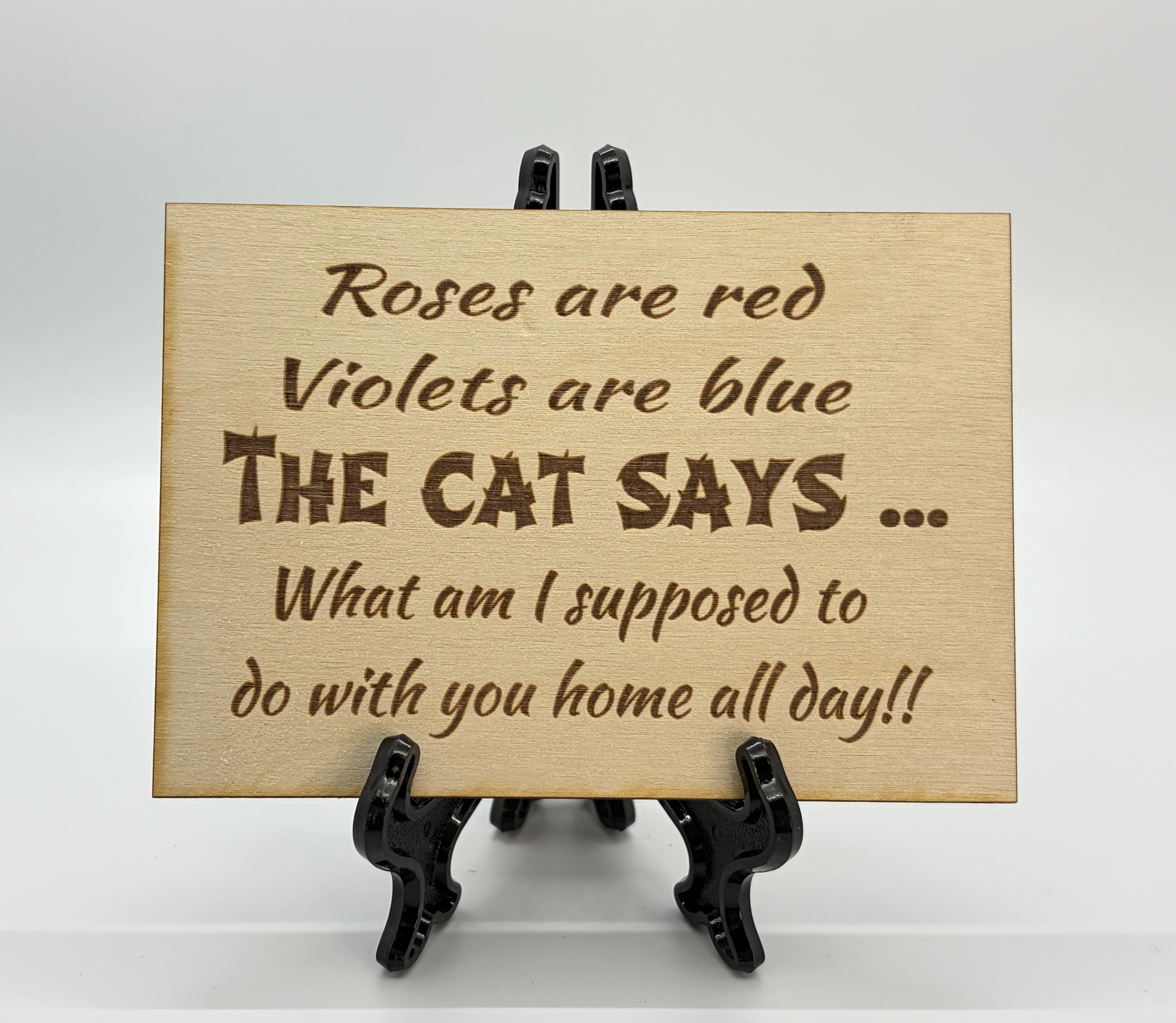 Cat Home All Day