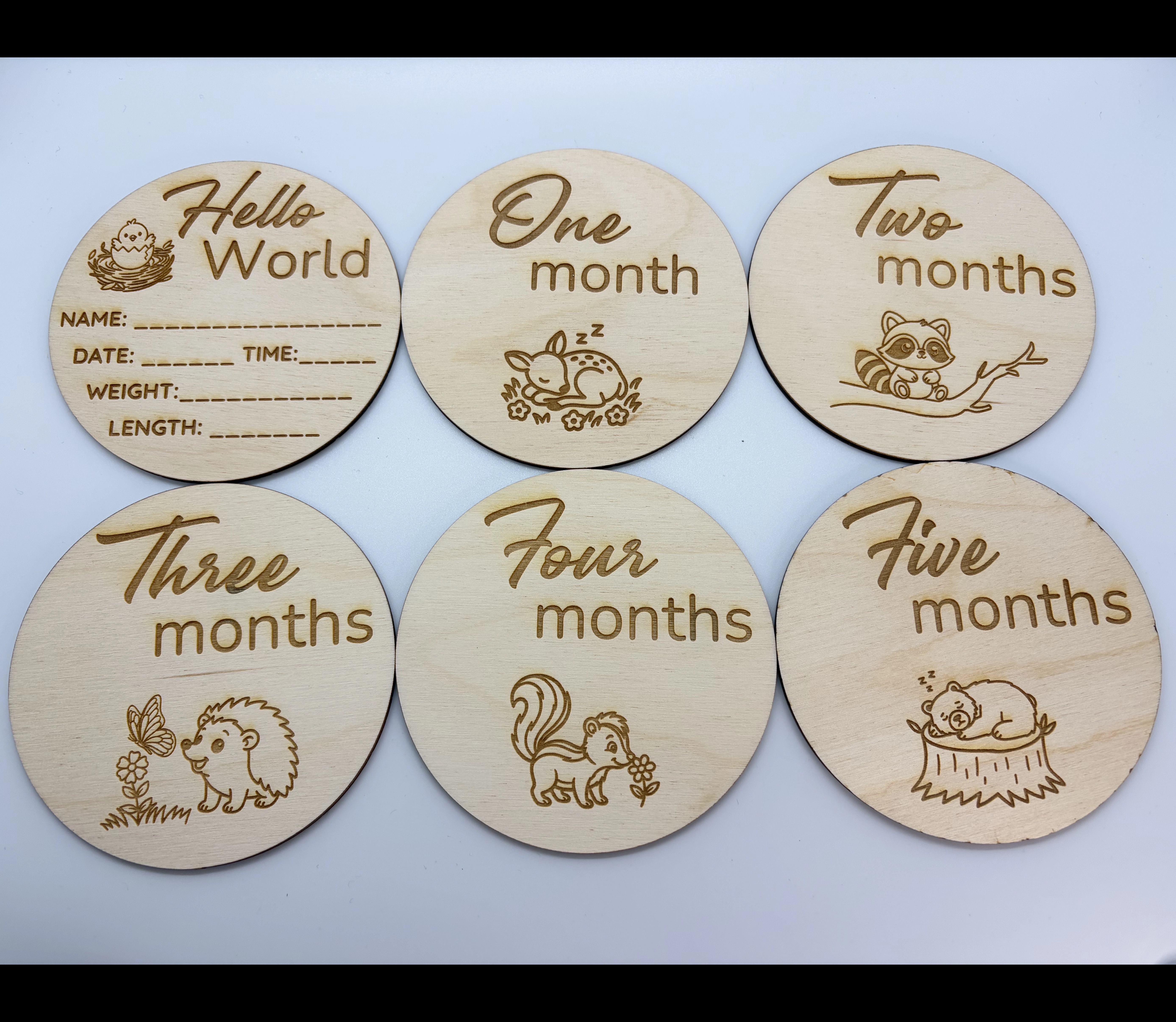 Baby's First Year Milestone Discs