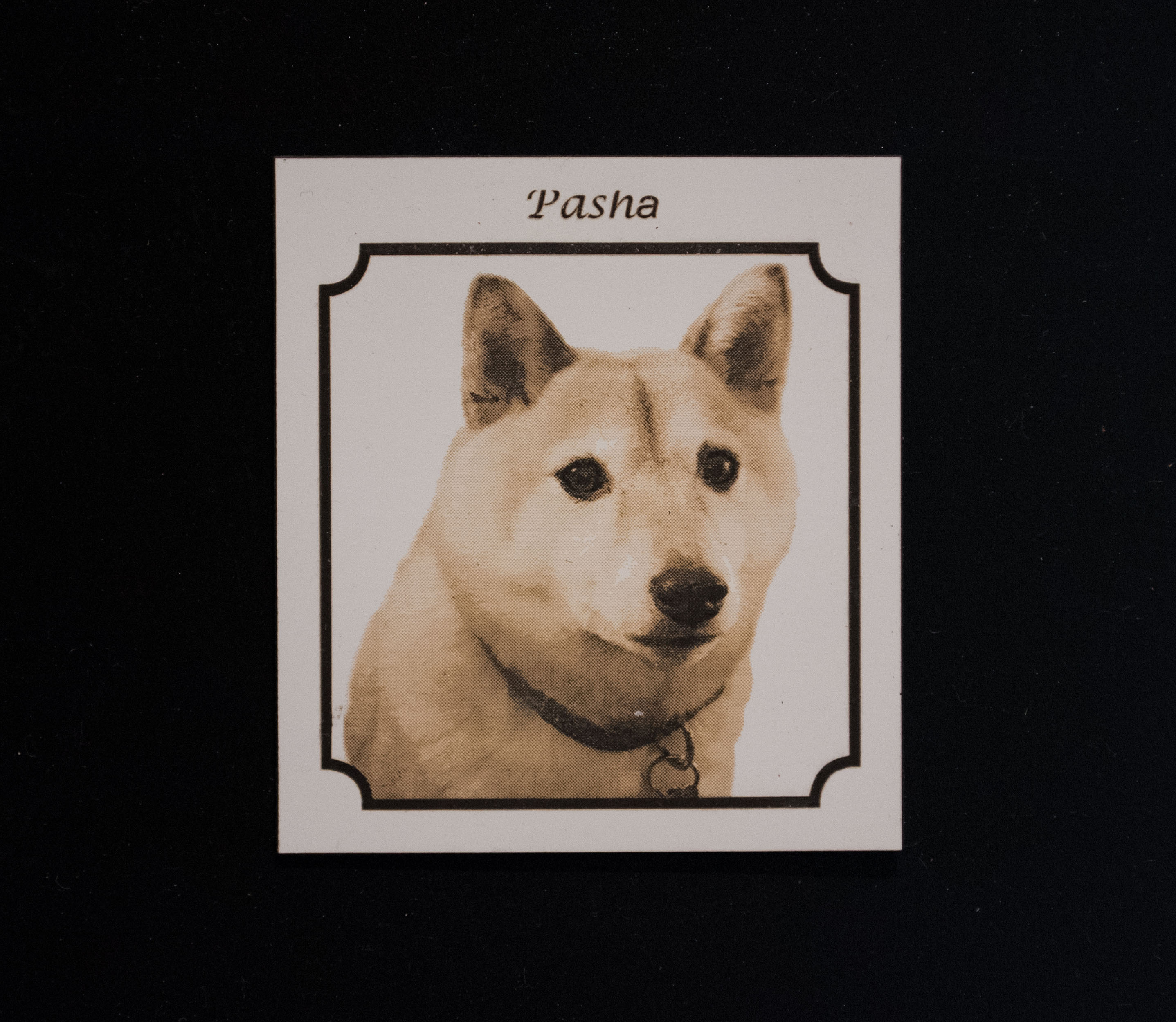 Custom Magnet