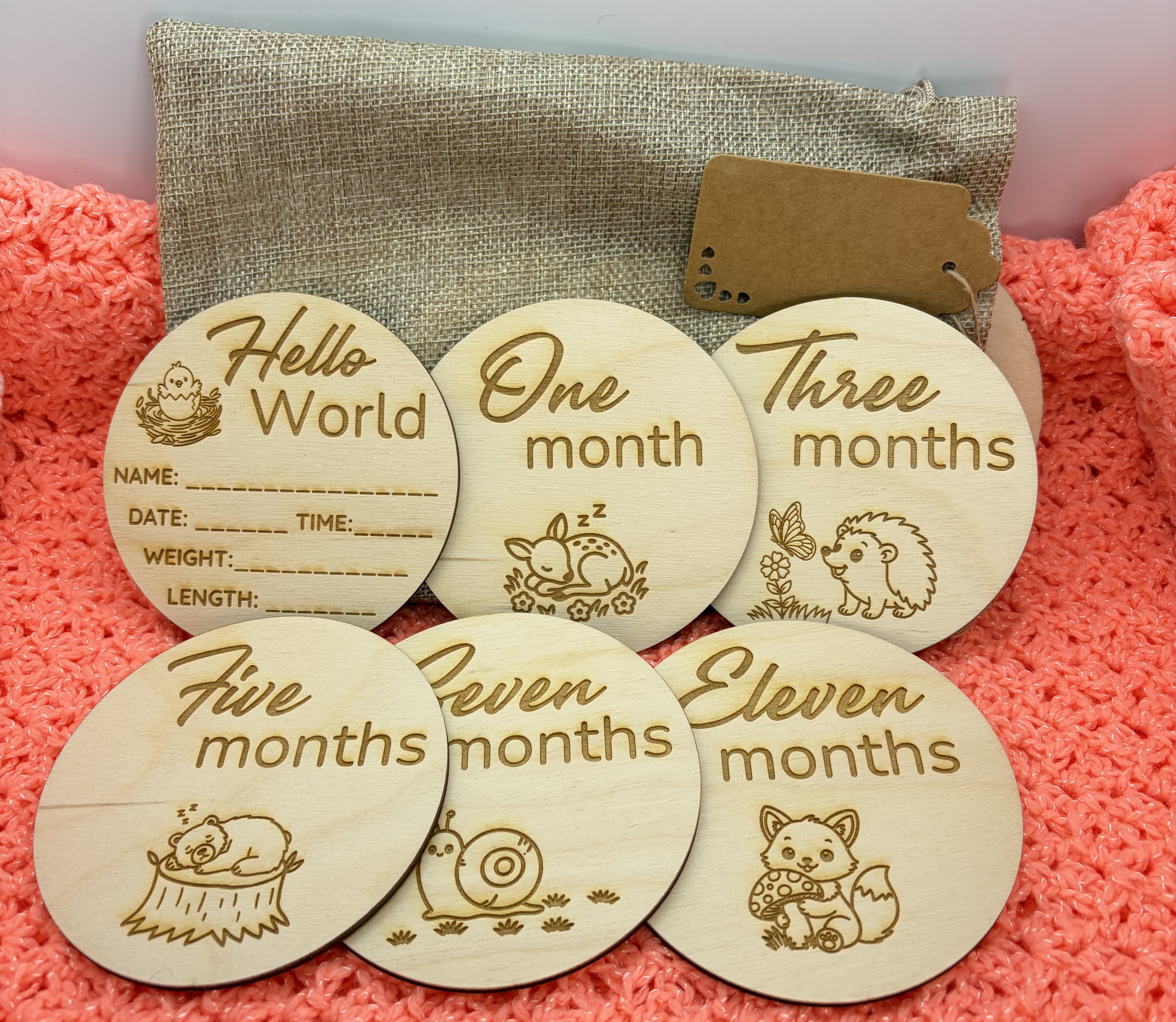 Baby's First Year Milestone Discs